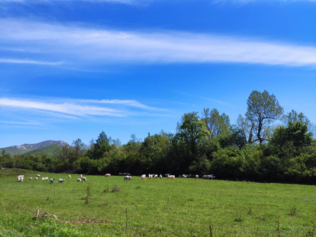 Velebit Lodge Lovinac  Esterno foto