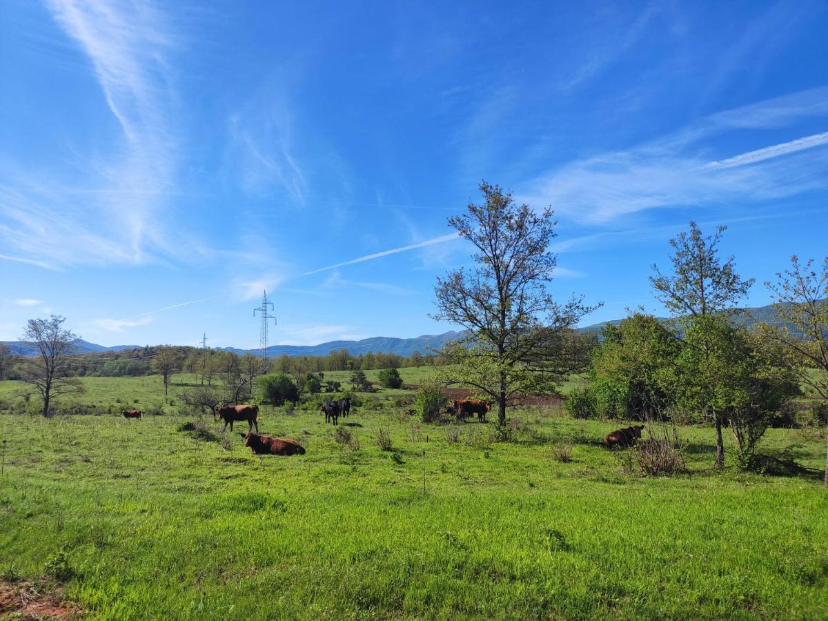 Velebit Lodge Lovinac  Esterno foto
