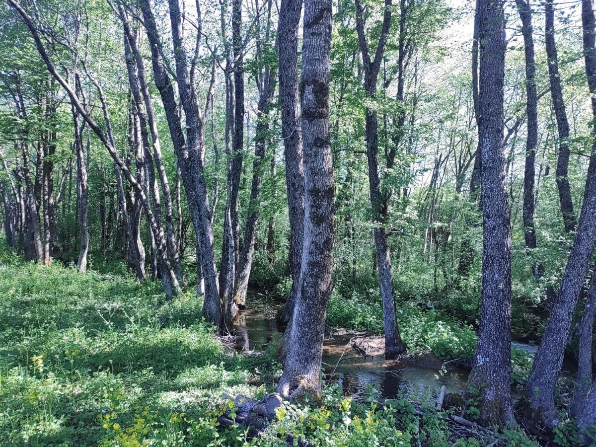 Velebit Lodge Lovinac  Esterno foto